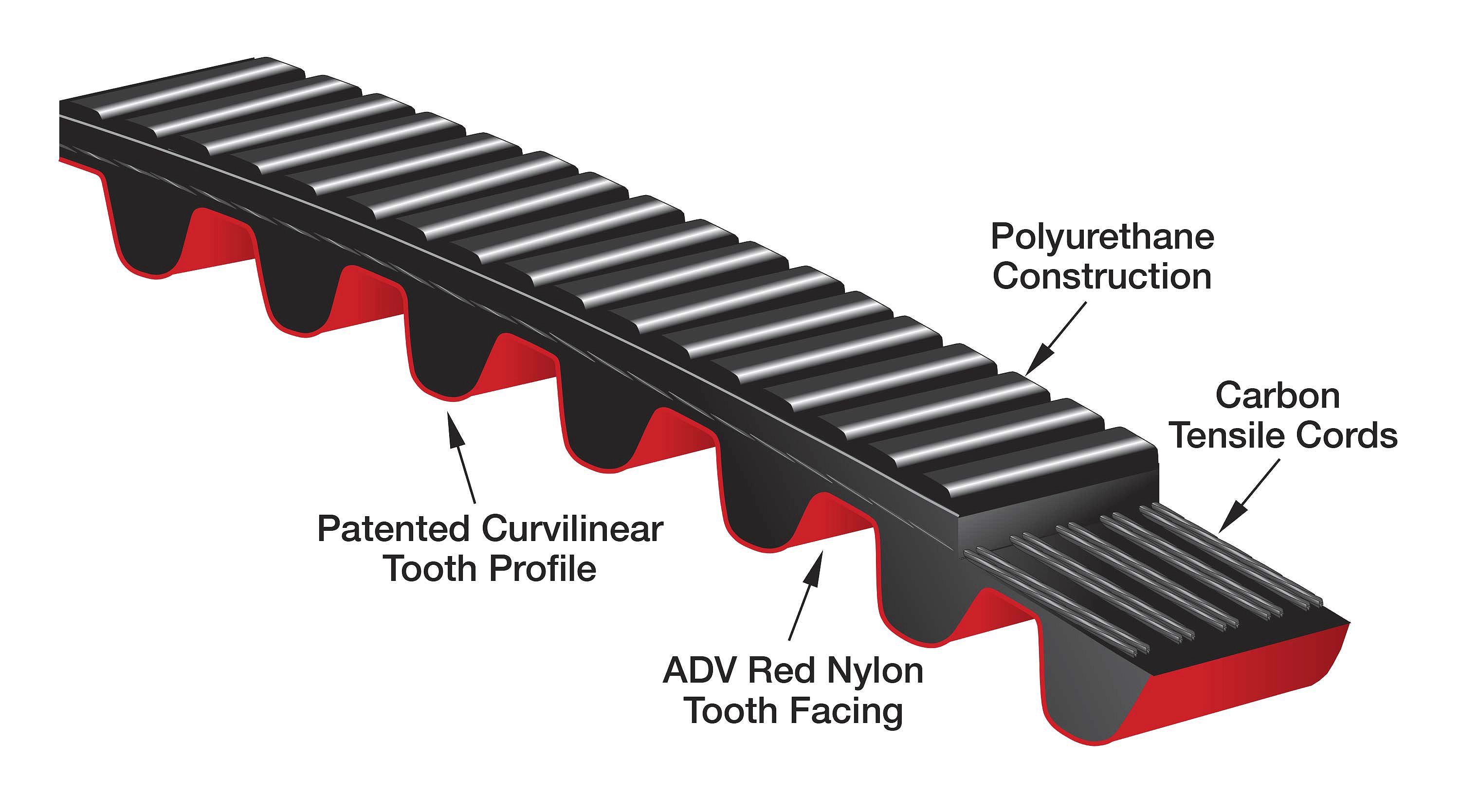 Poly Chain ADV belts