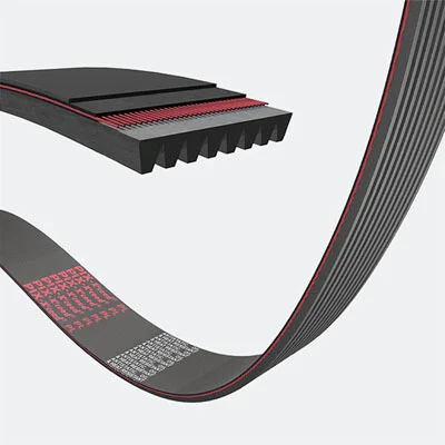 PL Poly-V Belt