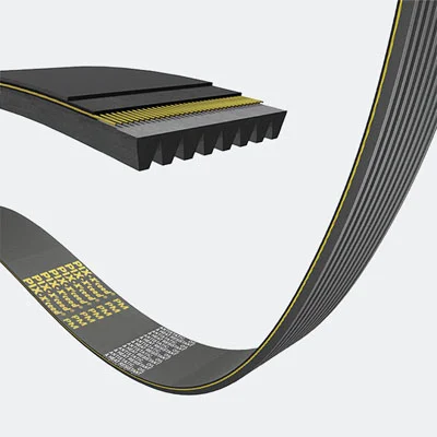 PM Poly-V Belt